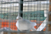 DSC_1560.jpg