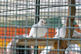DSC_1562.jpg