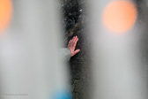 DSC_1746.jpg