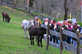 DSC_2059.jpg