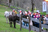 DSC_2061.jpg