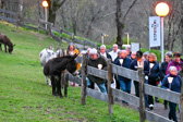 DSC_2066.jpg