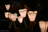 DSC_2104.jpg