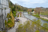 DSC_6366.jpg