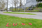DSC_6389.jpg