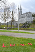 DSC_6390.jpg