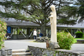 DSC_6405.jpg