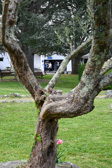 DSC_6437.jpg