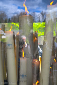 DSC_6697.jpg